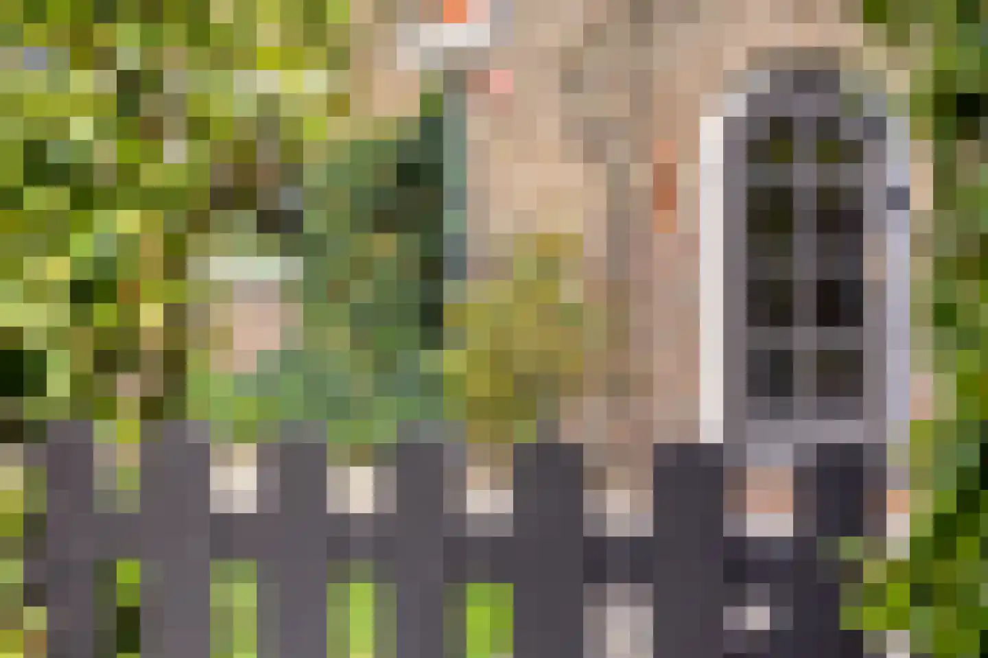 Bakenbergseweg 120 Arnhem thumbnail 6