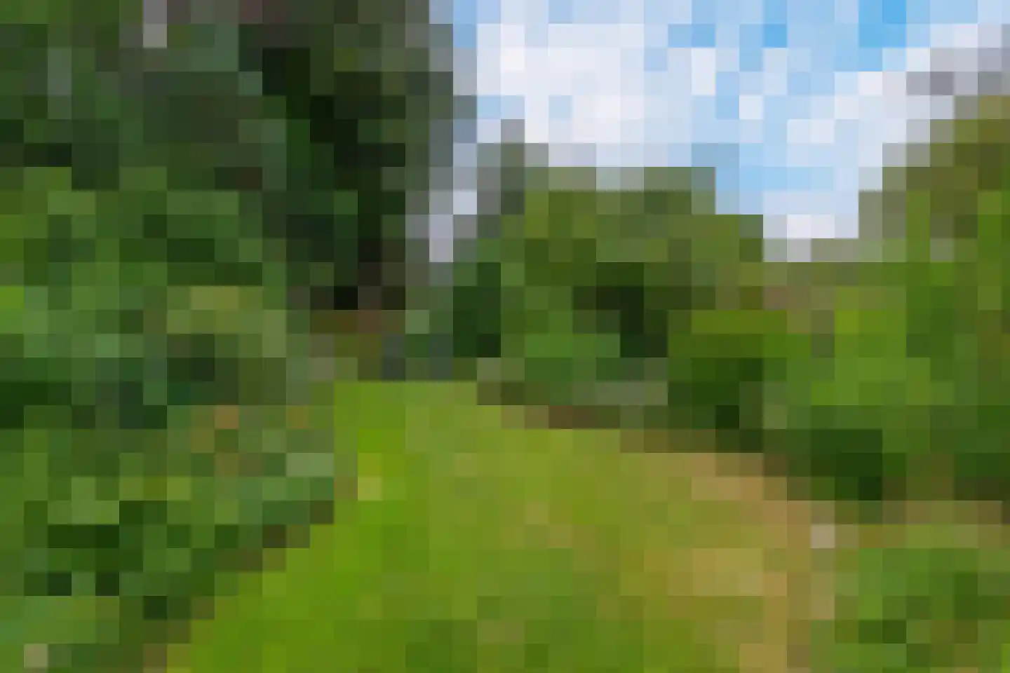 Bakenbergseweg 135 Arnhem thumbnail 42