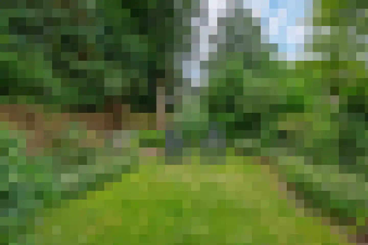 Bakenbergseweg 135 Arnhem thumbnail 43
