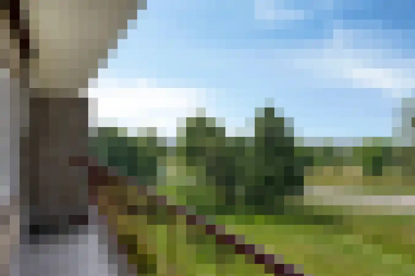Bakenbergseweg 15 3 Arnhem thumbnail 4