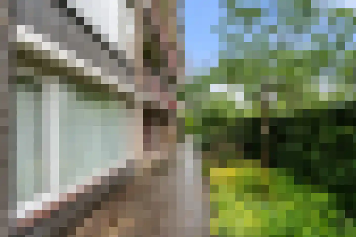 Bakenbergseweg 15 4 Arnhem thumbnail 14