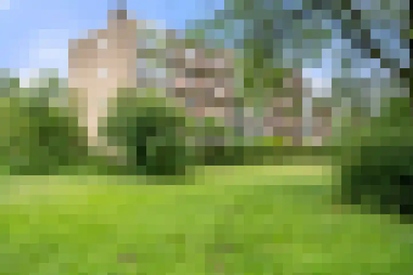 Bakenbergseweg 15 4 Arnhem thumbnail 6