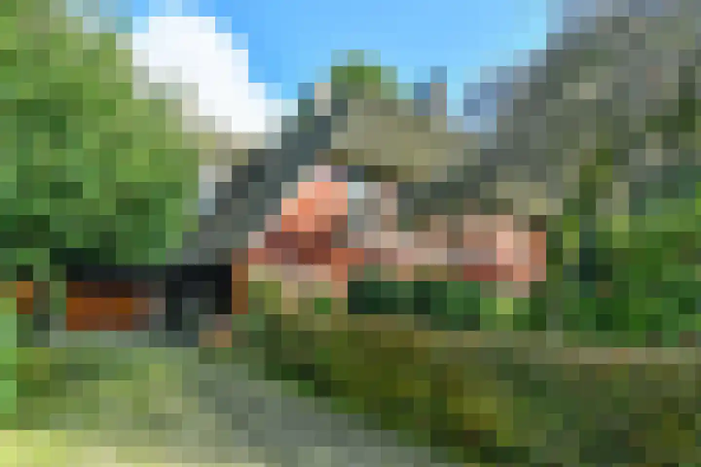 Bakenbergseweg 250 Arnhem thumbnail 11