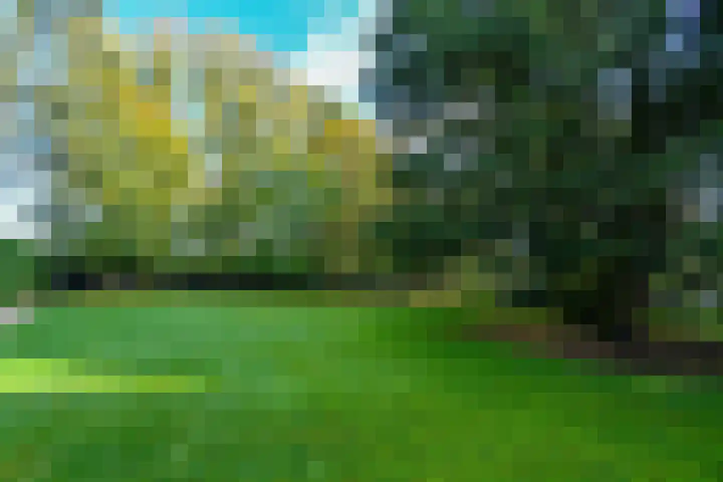 Bakenbergseweg 250 Arnhem thumbnail 63
