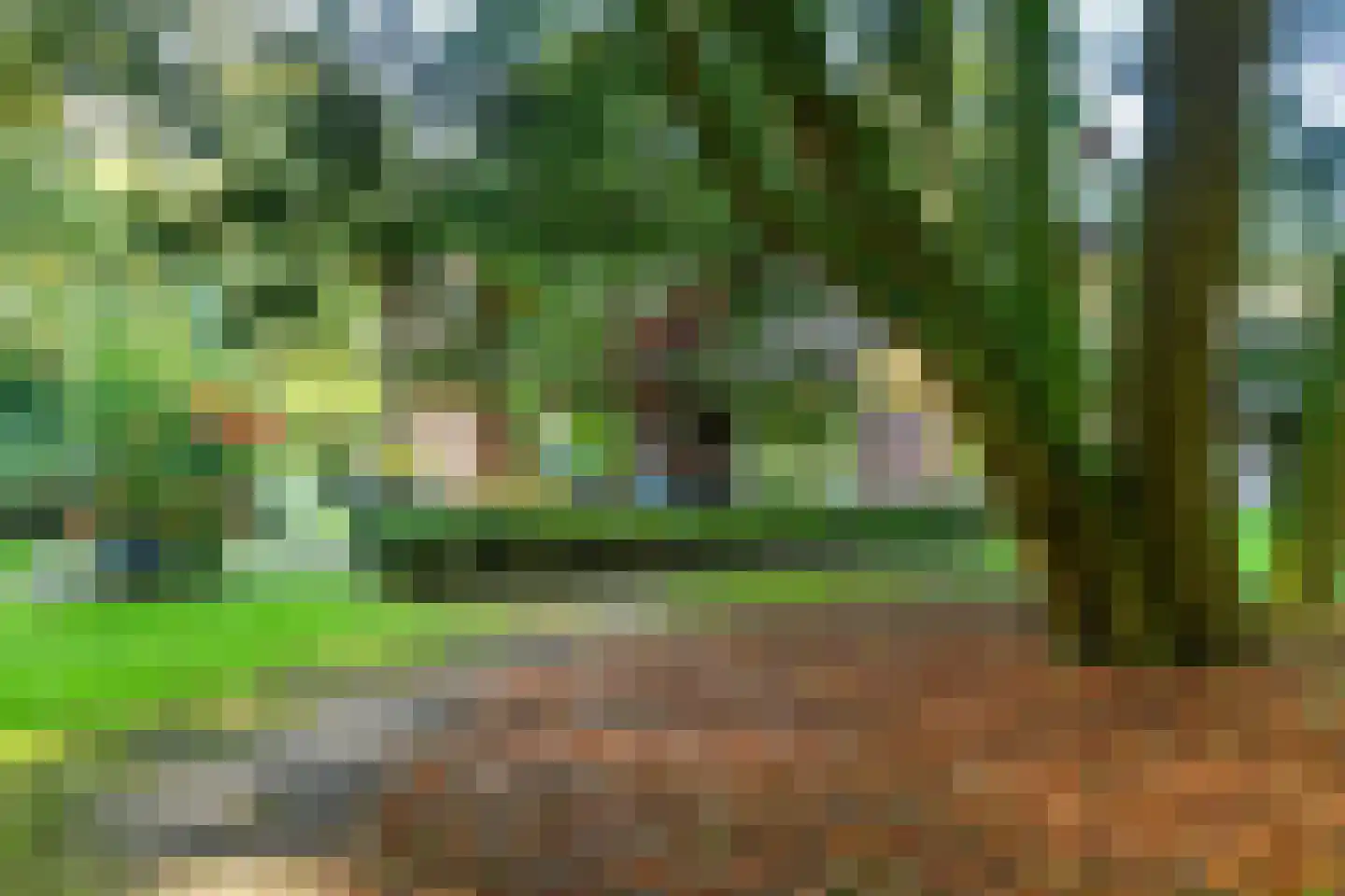 Bakenbergseweg 250 Arnhem thumbnail 65