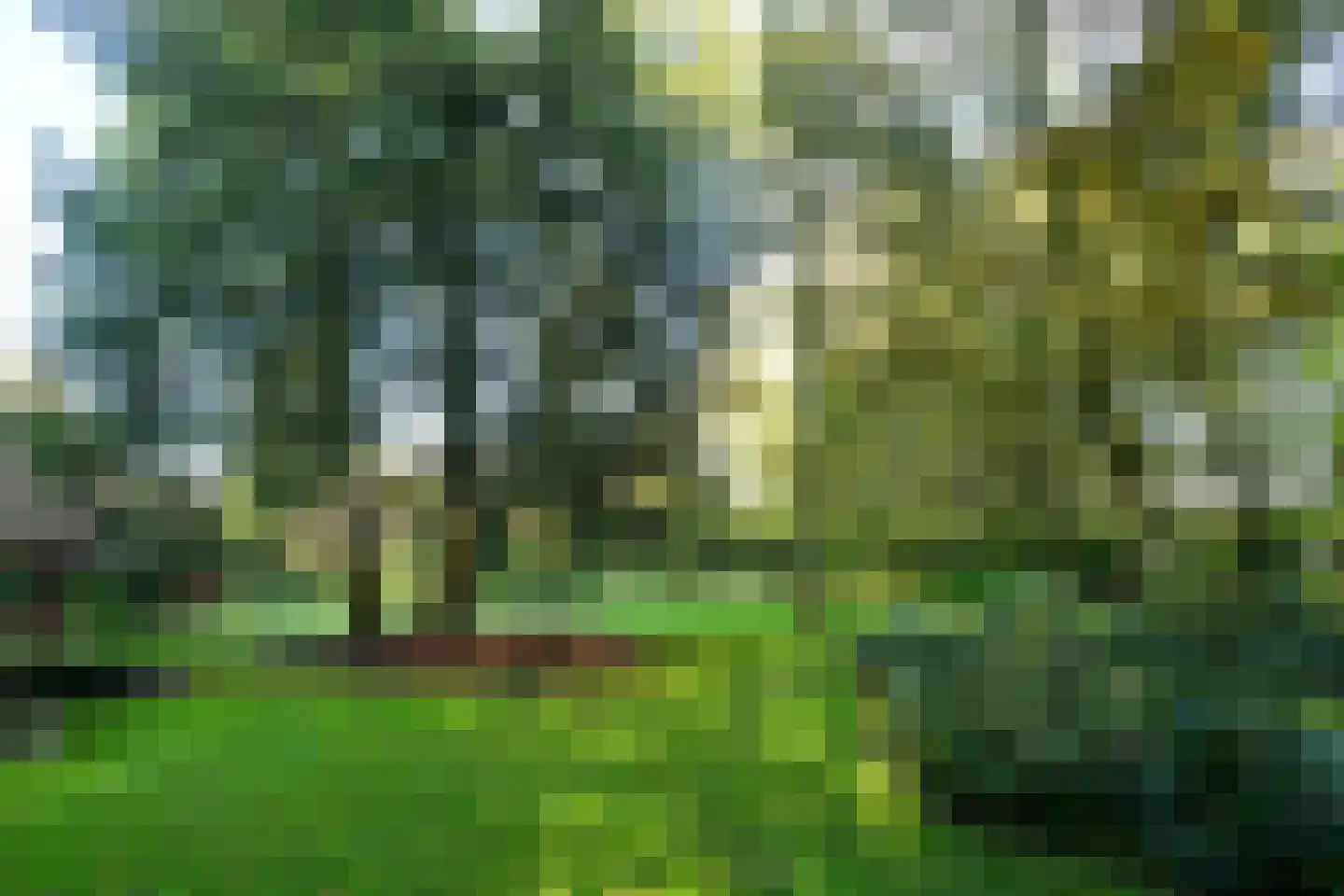 Bakenbergseweg 250 Arnhem thumbnail 66