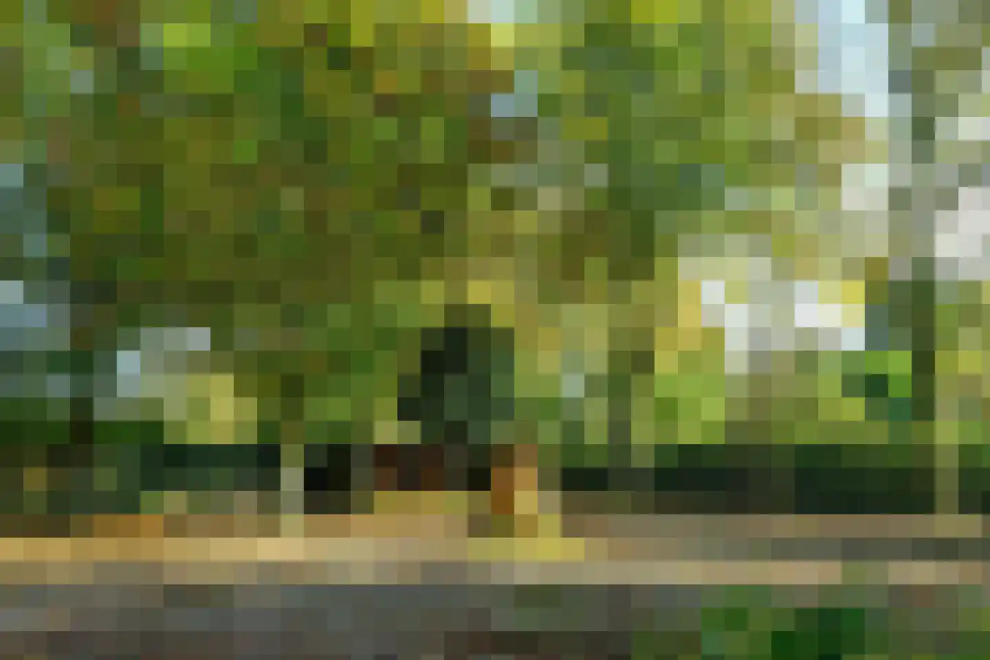 Bakenbergseweg 250 Arnhem thumbnail 67
