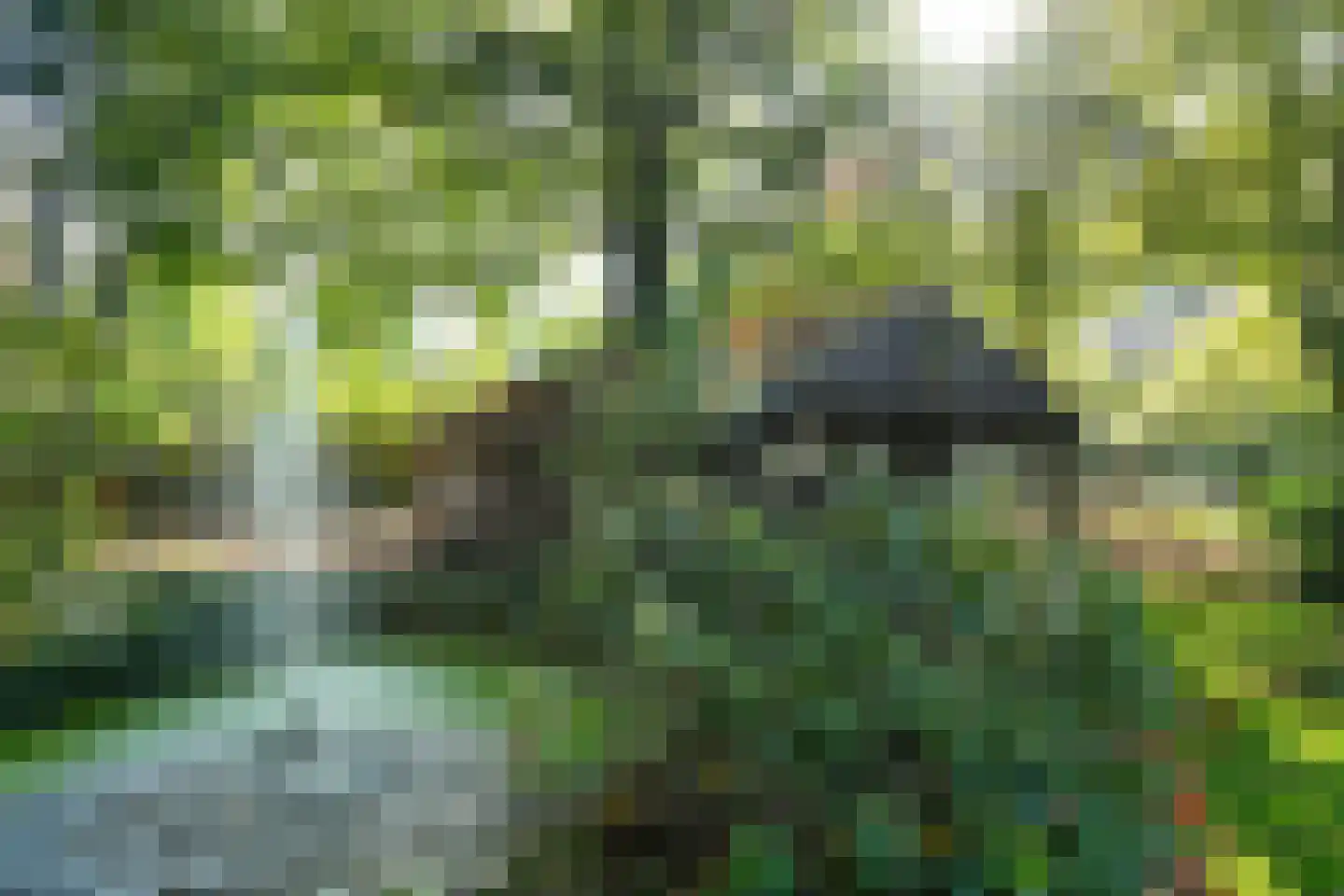 Bakenbergseweg 250 Arnhem thumbnail 68