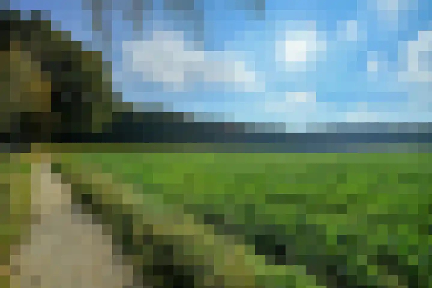 Bakenbergseweg 250 Arnhem thumbnail 71