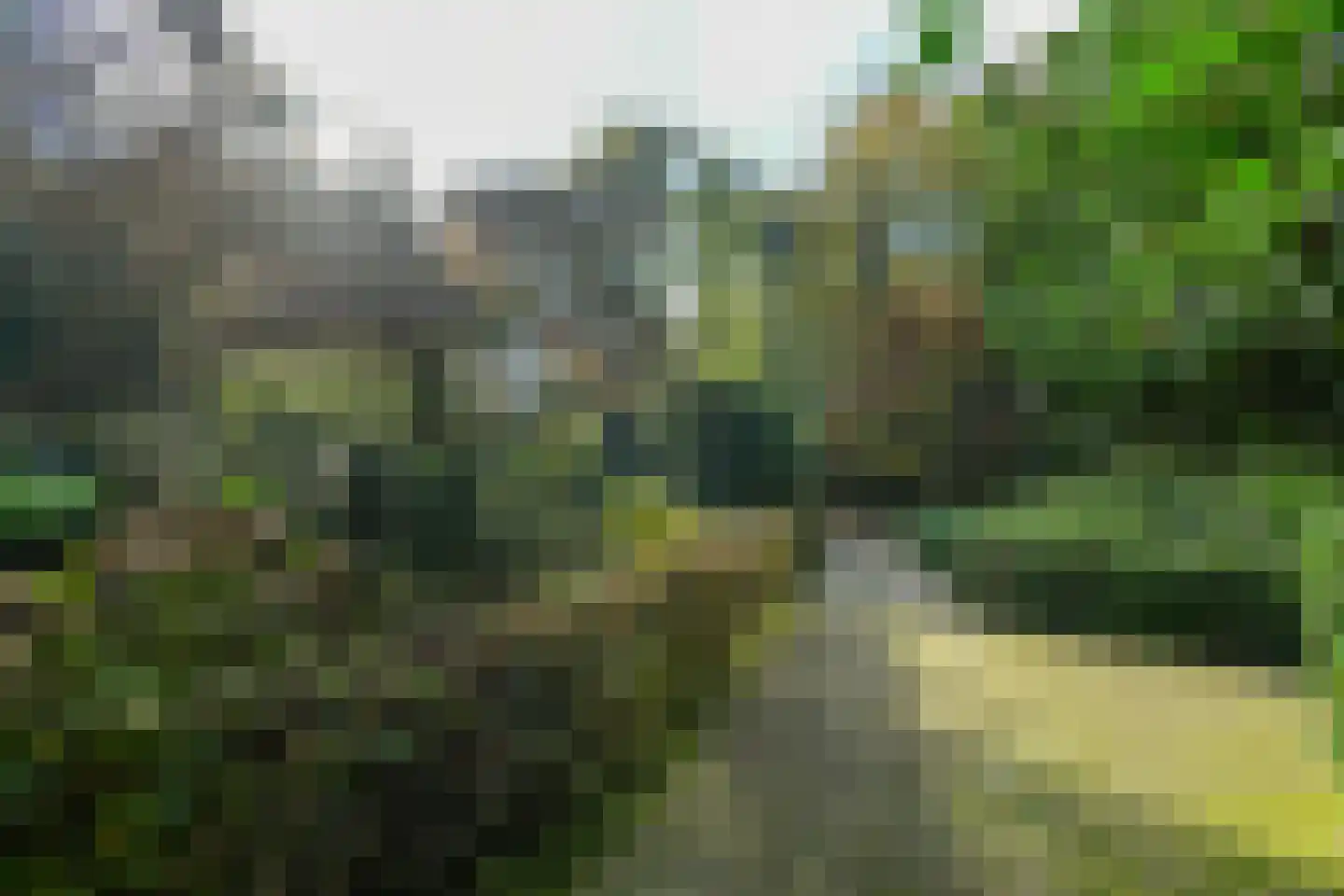 Bakenbergseweg 250 Arnhem thumbnail 9