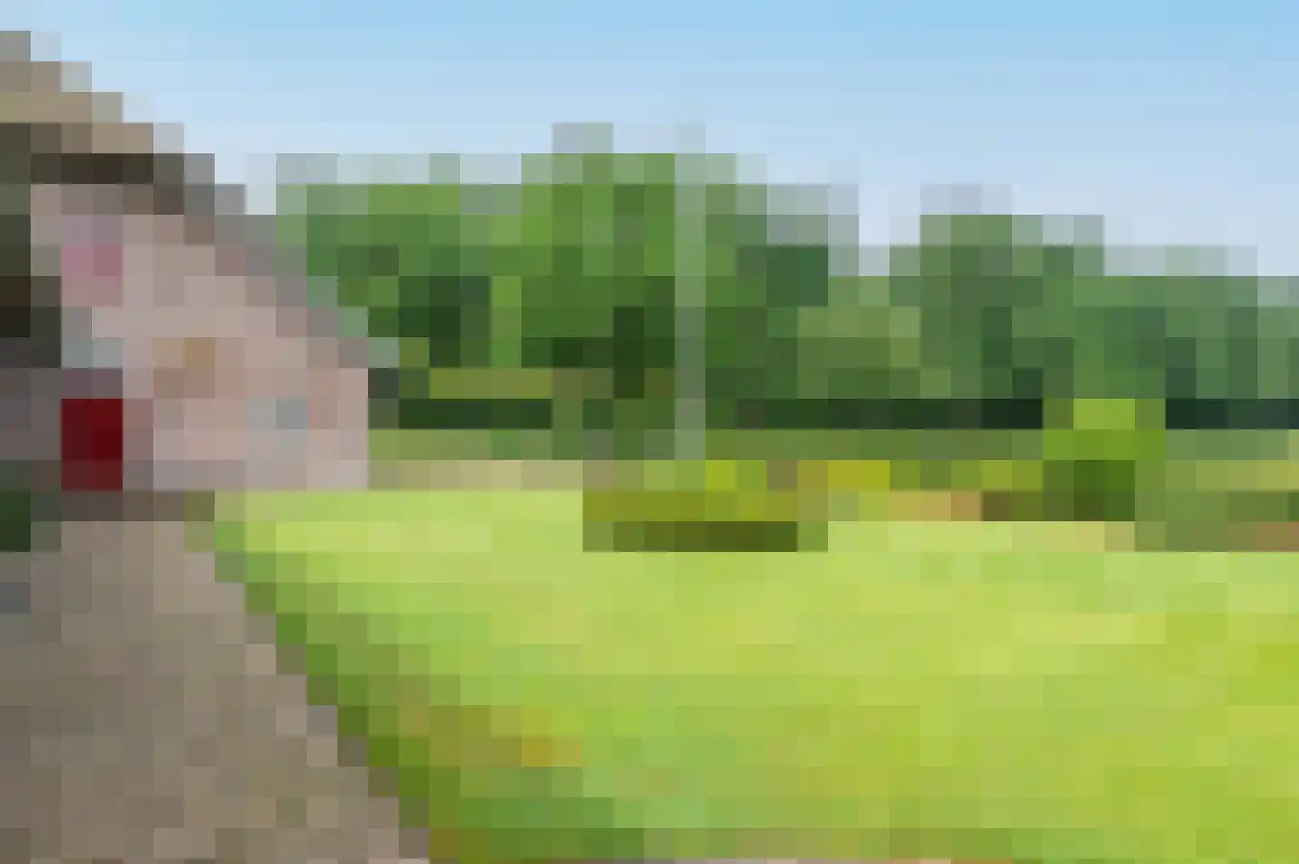 Bakenbergseweg 310 Arnhem thumbnail 7