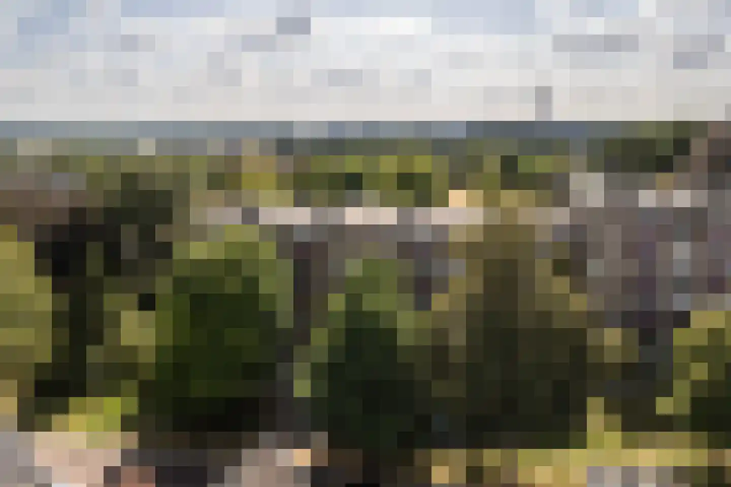 Bakenbergseweg 7 1 Arnhem thumbnail 40
