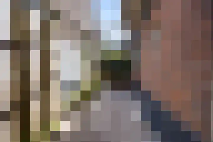 Bakenbergseweg 8 Arnhem thumbnail 17