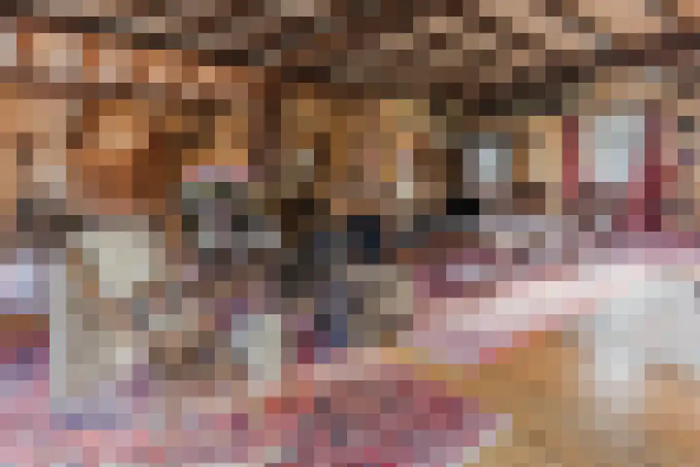 Bakenbosweg 10 Tegelen thumbnail 11