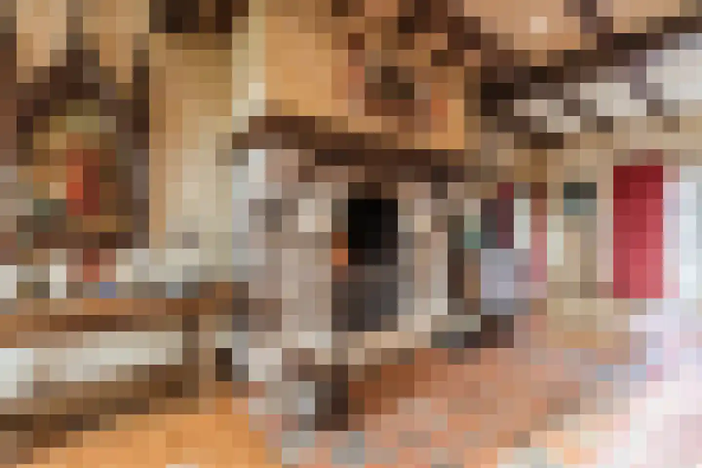 Bakenbosweg 10 Tegelen thumbnail 15