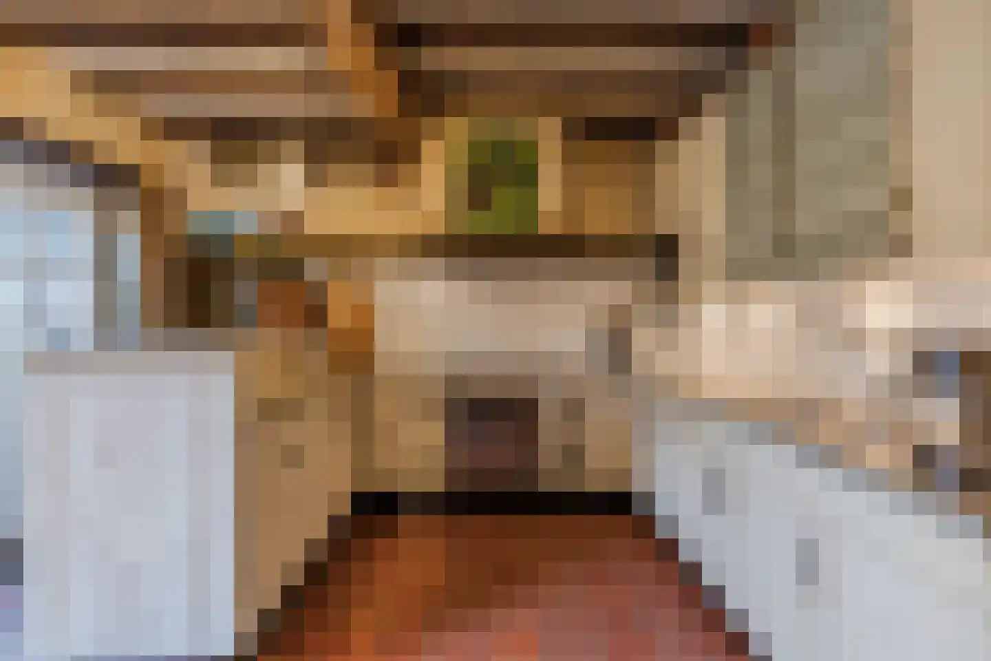 Bakenbosweg 10 Tegelen thumbnail 24
