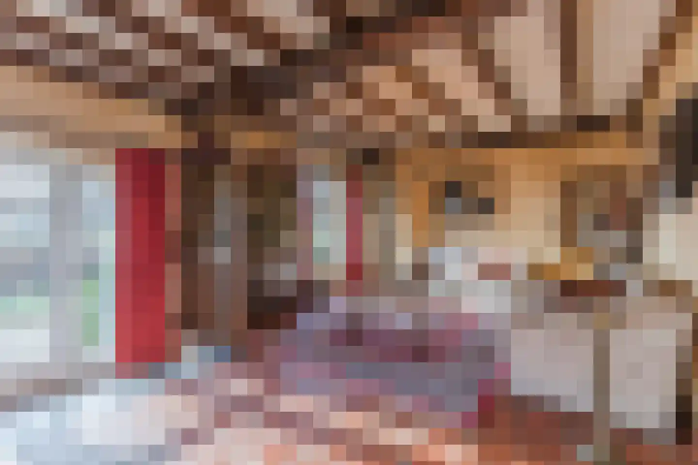 Bakenbosweg 10 Tegelen thumbnail 26