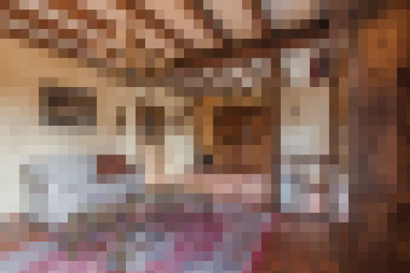 Bakenbosweg 10 Tegelen thumbnail 27