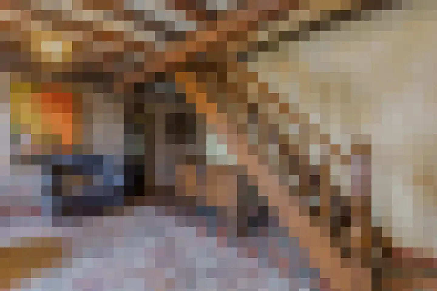 Bakenbosweg 10 Tegelen thumbnail 32