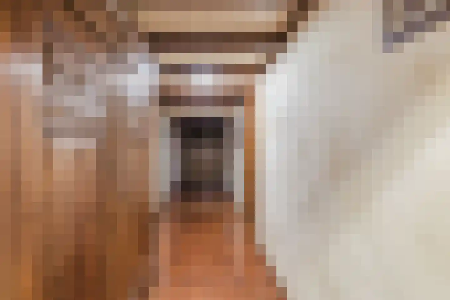 Bakenbosweg 10 Tegelen thumbnail 43