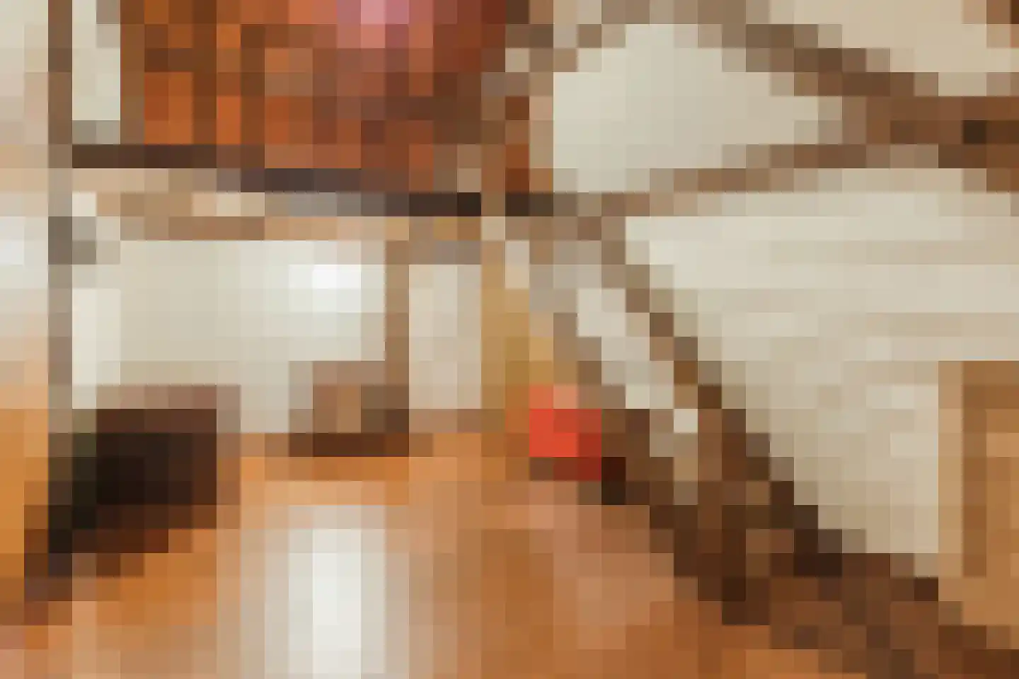 Bakenbosweg 10 Tegelen thumbnail 47