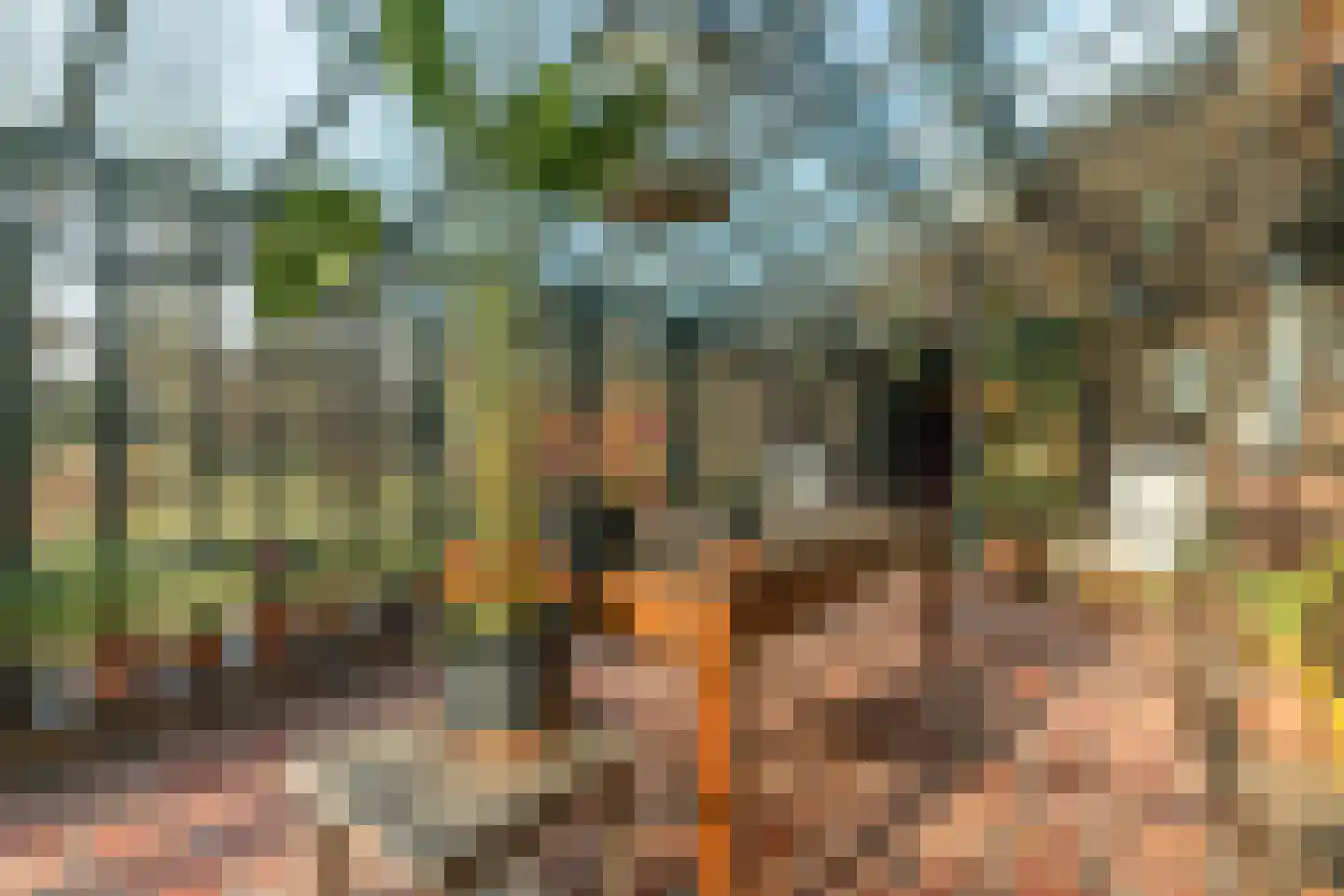Bakenbosweg 10 Tegelen thumbnail 53