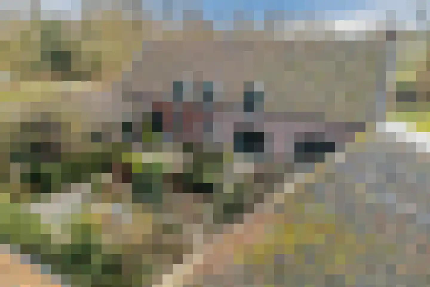 Bakenbosweg 10 Tegelen thumbnail 55