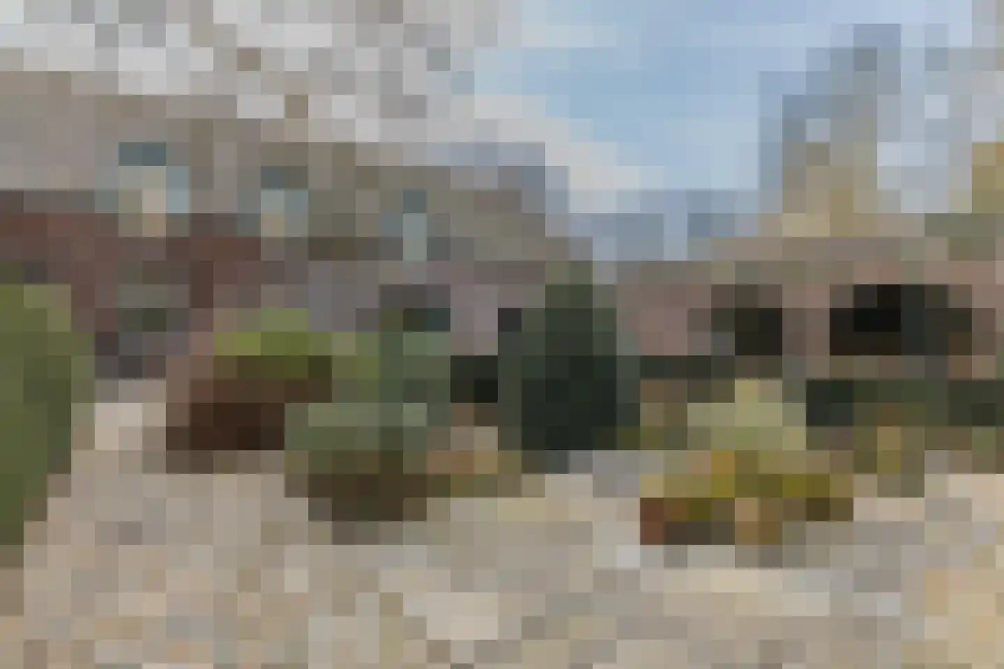 Bakenbosweg 10 Tegelen thumbnail 58