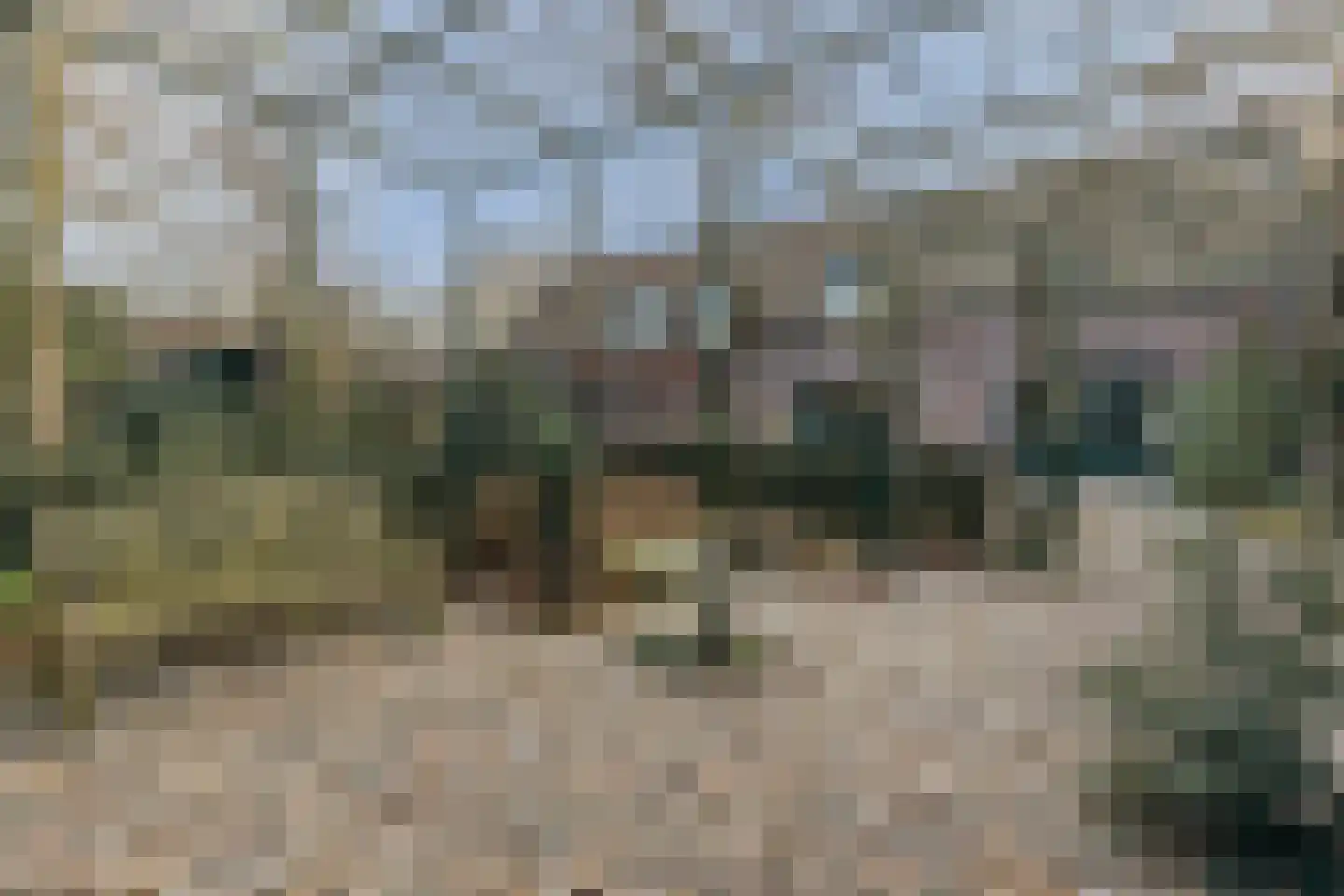 Bakenbosweg 10 Tegelen thumbnail 59