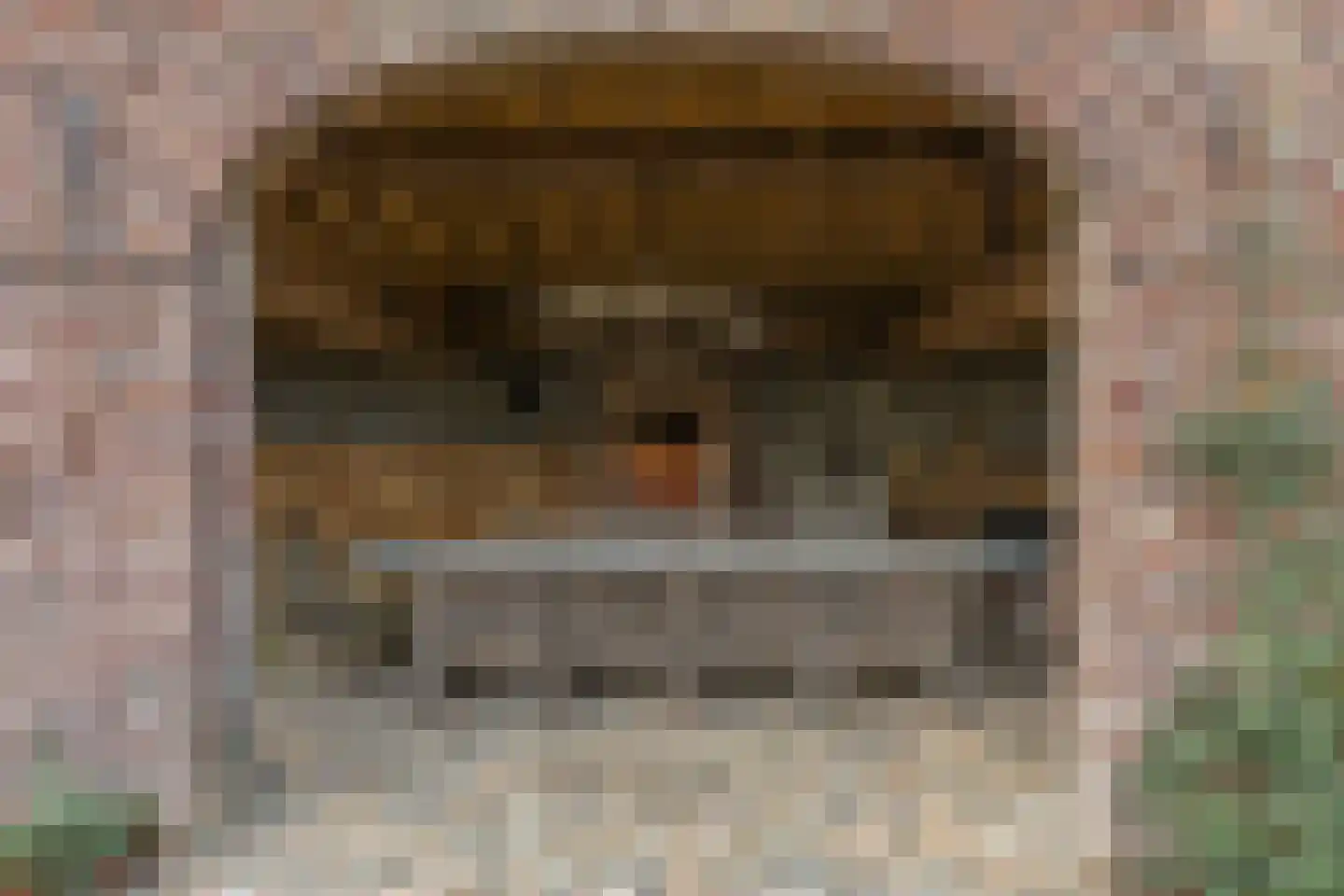 Bakenbosweg 10 Tegelen thumbnail 63