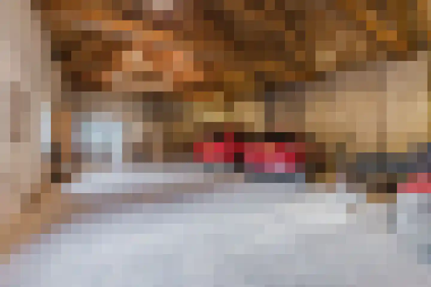 Bakenbosweg 10 Tegelen thumbnail 69