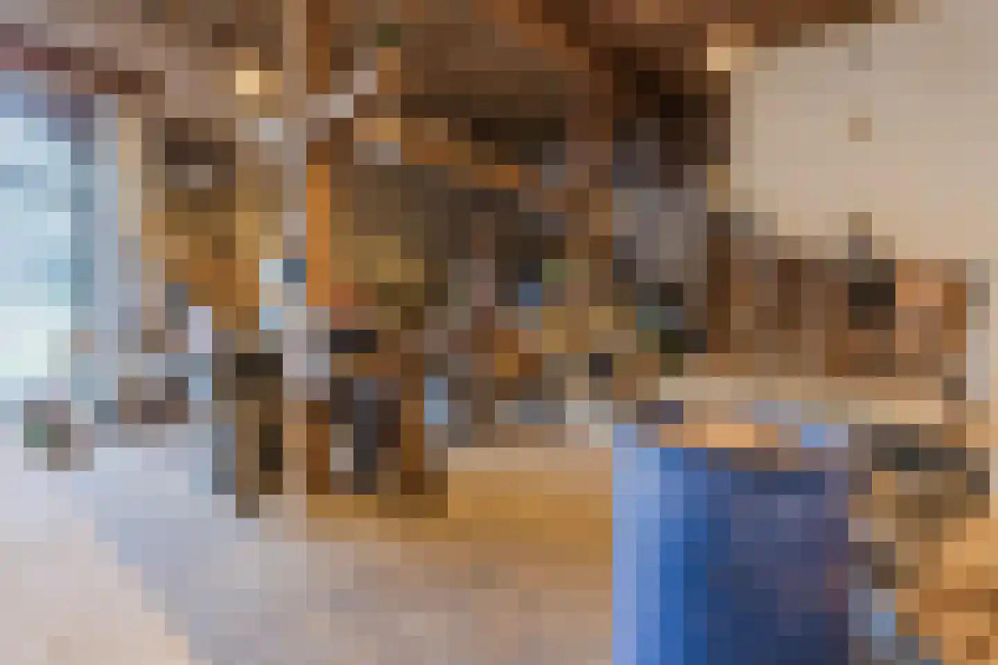 Bakenbosweg 10 Tegelen thumbnail 71