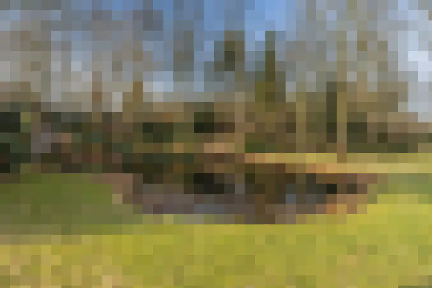 Bakenbosweg 10 Tegelen thumbnail 78