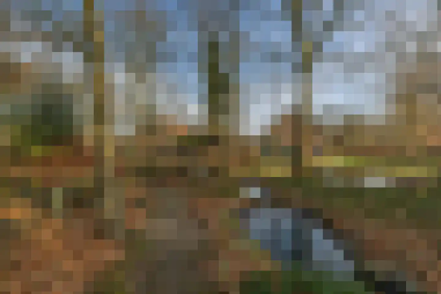 Bakenbosweg 10 Tegelen thumbnail 79
