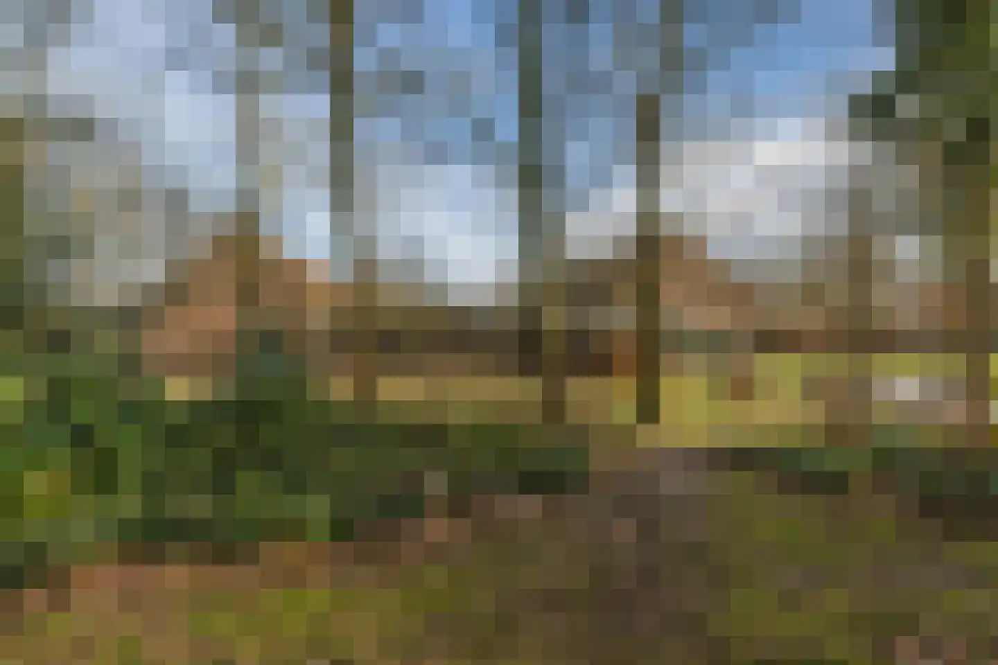 Bakenbosweg 10 Tegelen thumbnail 80