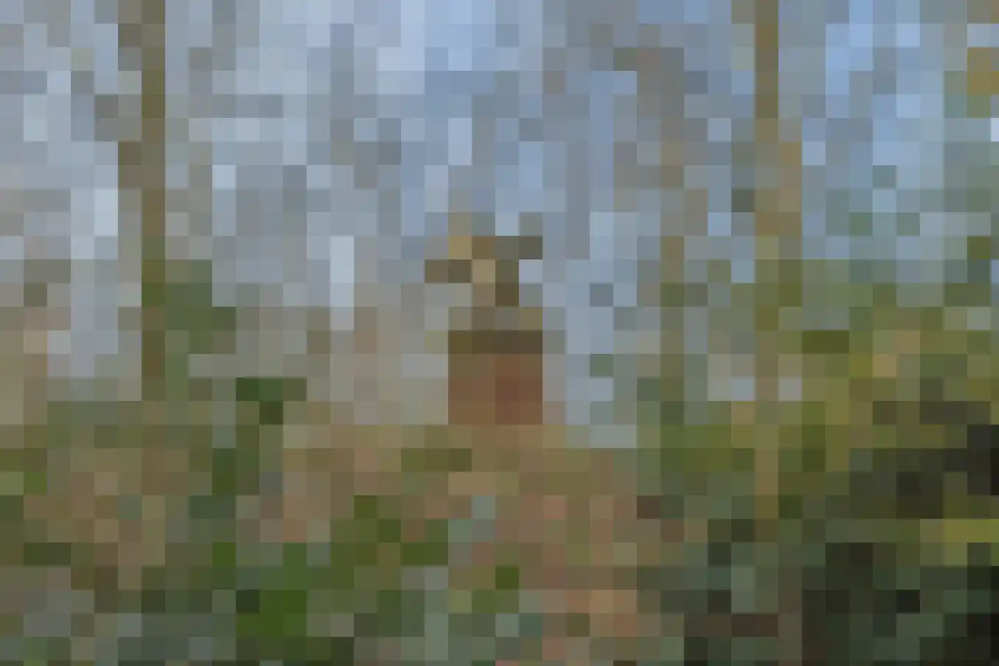 Bakenbosweg 10 Tegelen thumbnail 82