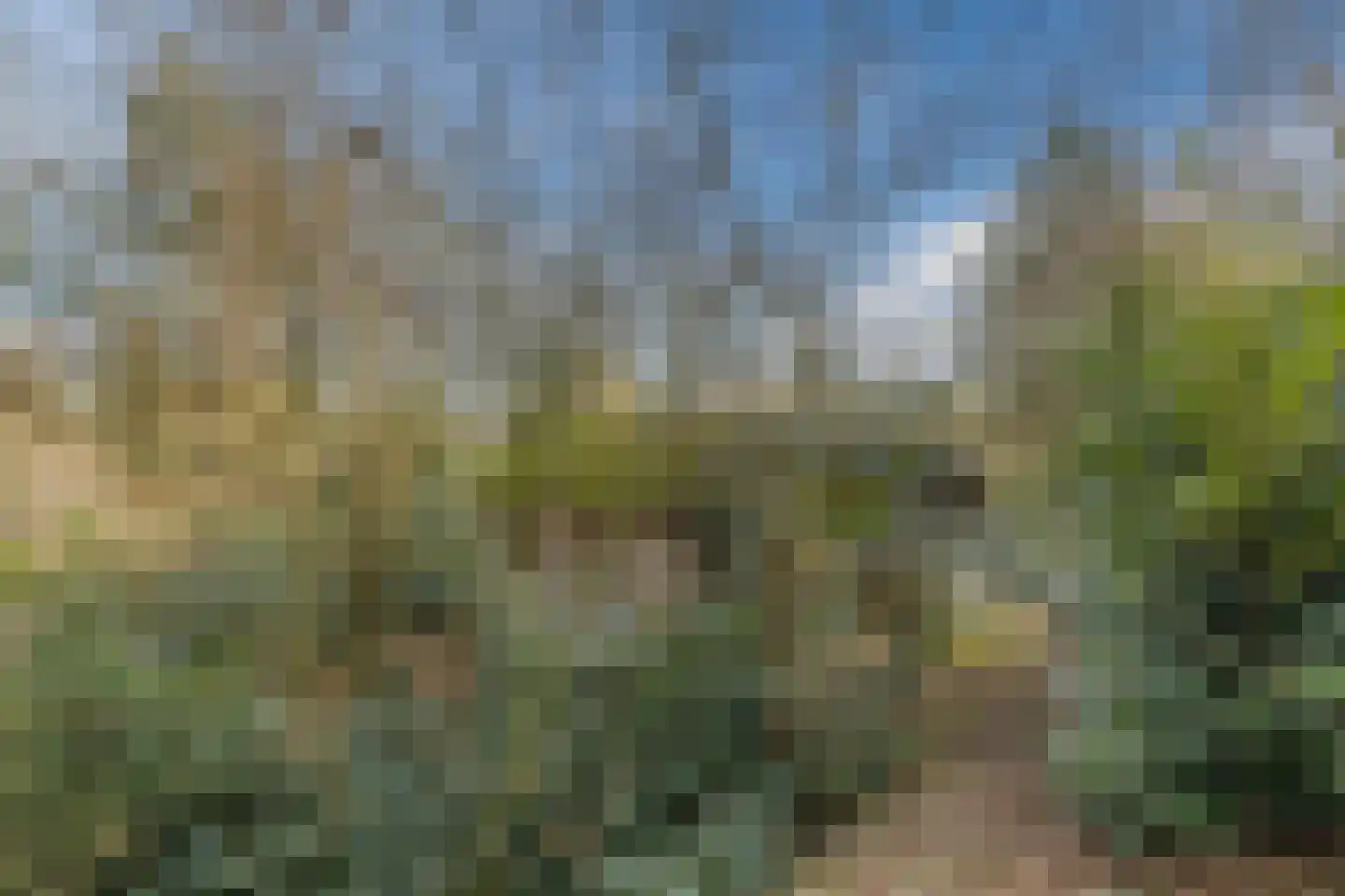 Bakenbosweg 10 Tegelen thumbnail 83