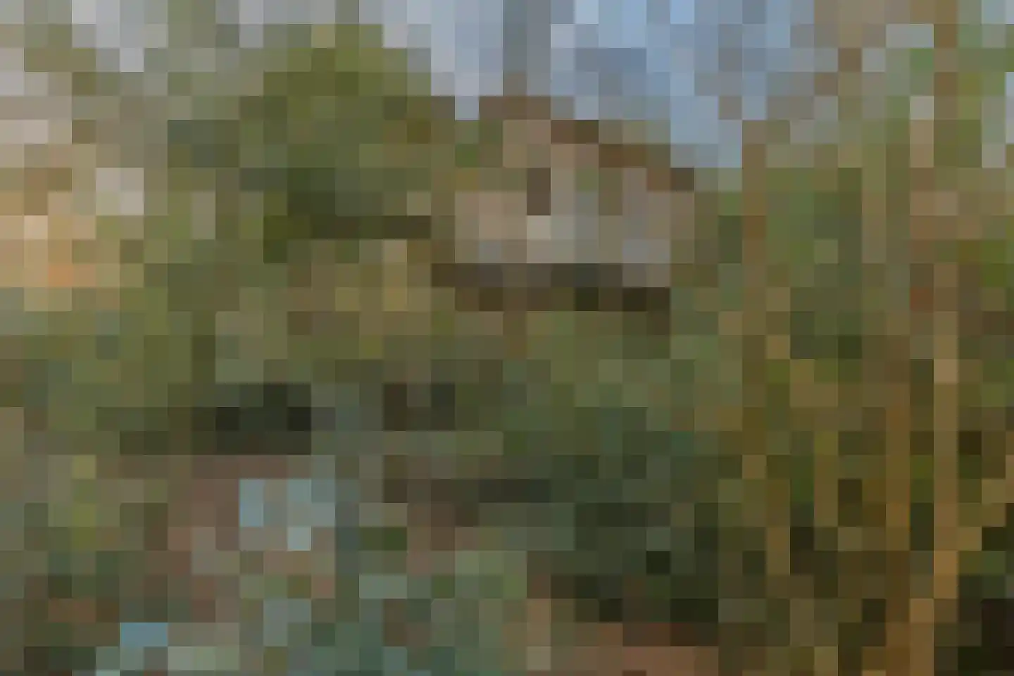 Bakenbosweg 10 Tegelen thumbnail 84
