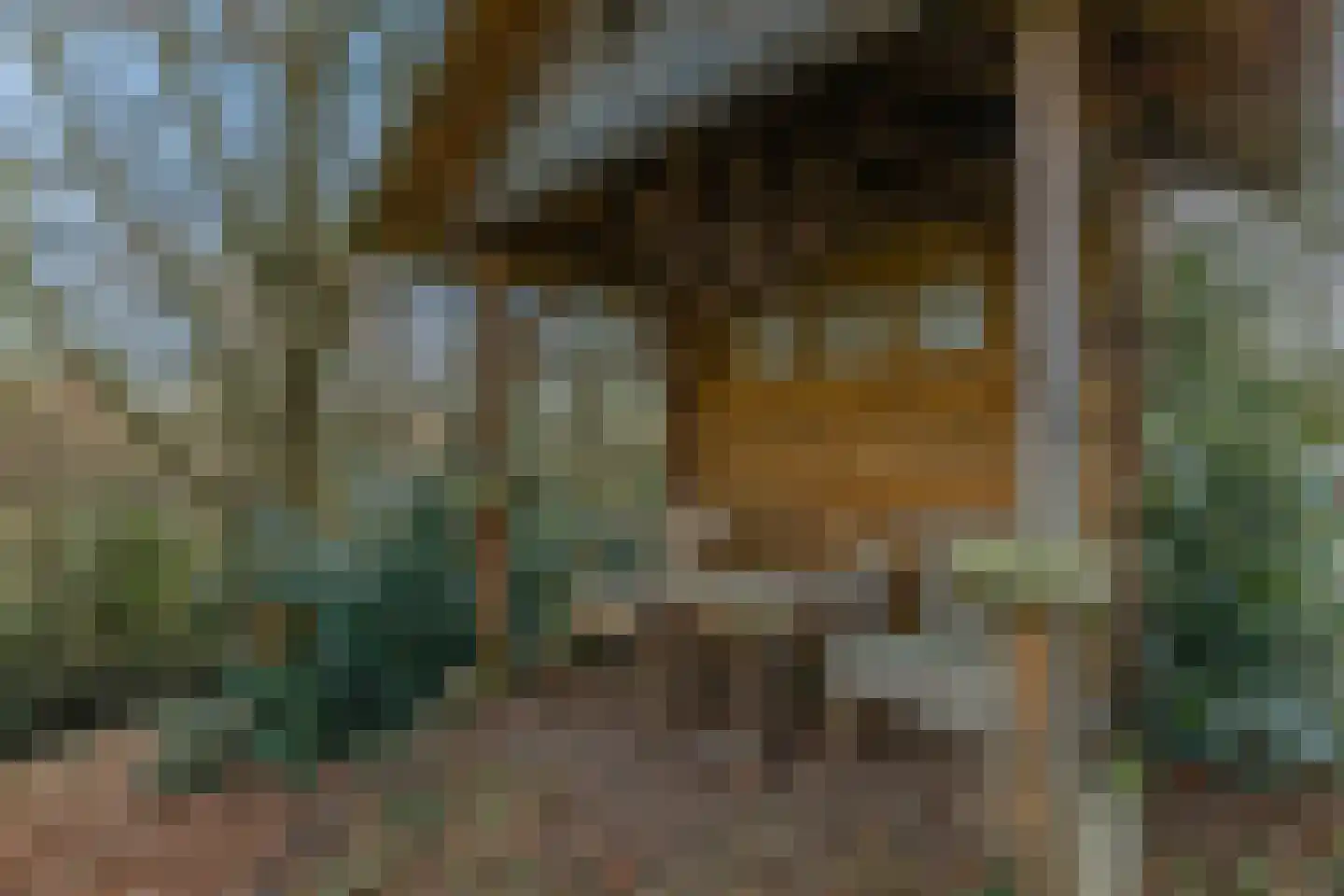 Bakenbosweg 10 Tegelen thumbnail 85