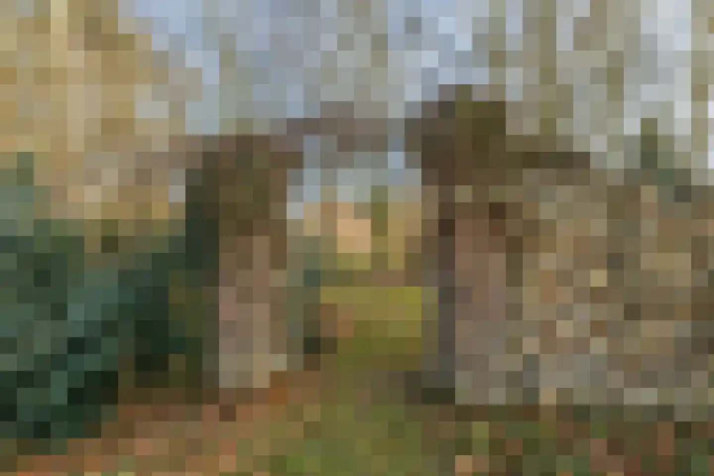 Bakenbosweg 10 Tegelen thumbnail 86