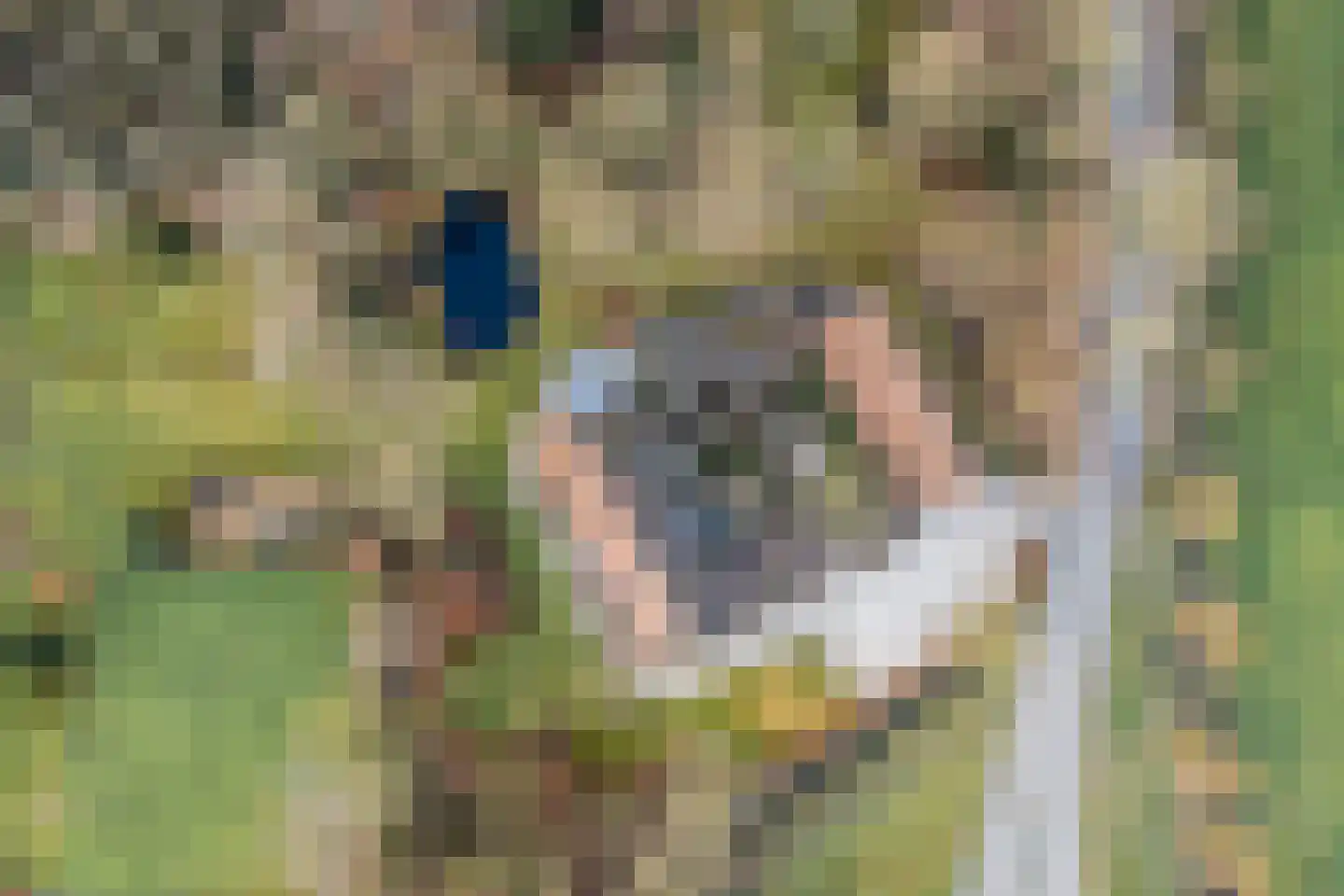 Bakenbosweg 10 Tegelen thumbnail 89