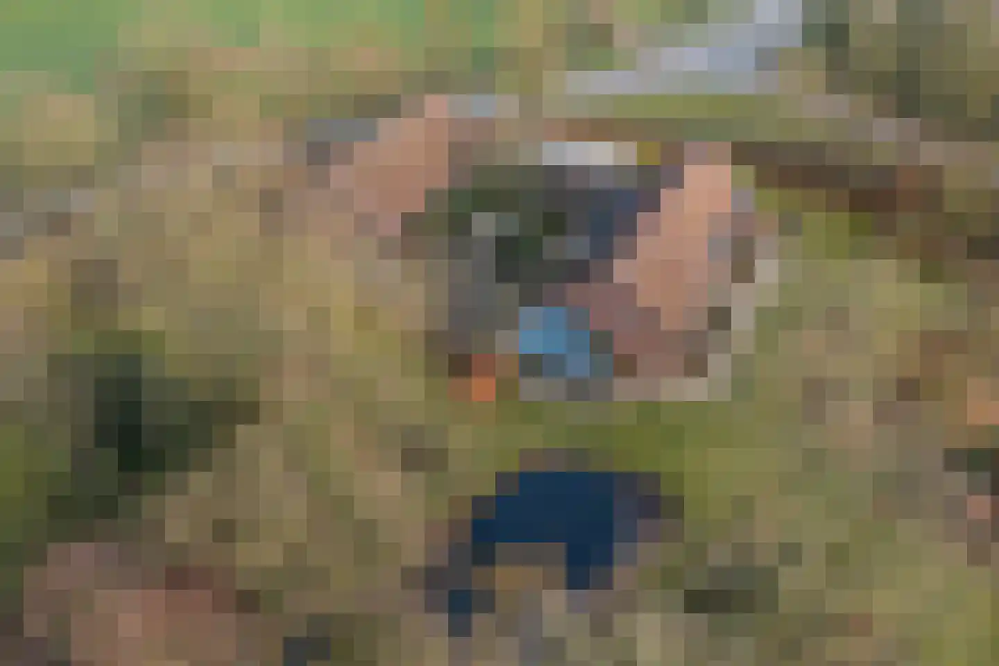 Bakenbosweg 10 Tegelen thumbnail 90