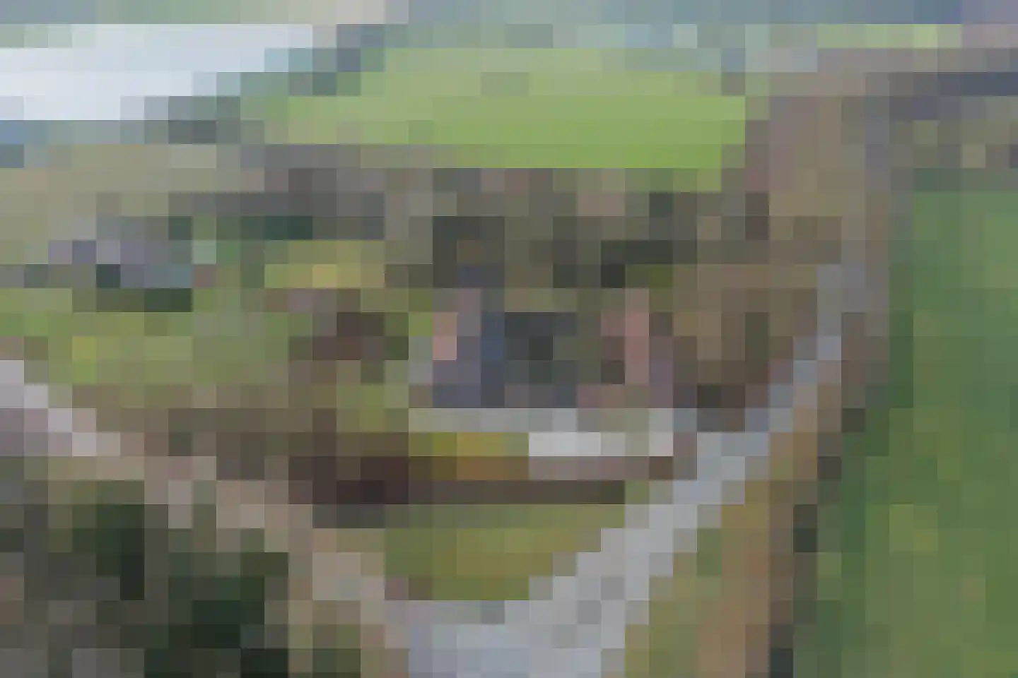 Bakenbosweg 10 Tegelen thumbnail 91