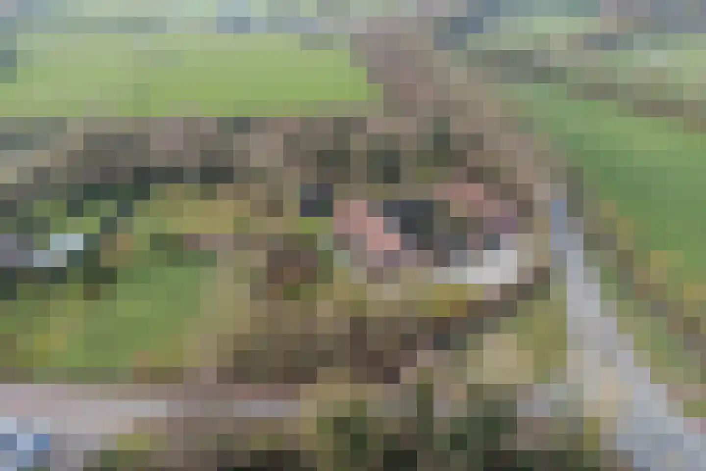 Bakenbosweg 10 Tegelen thumbnail 92