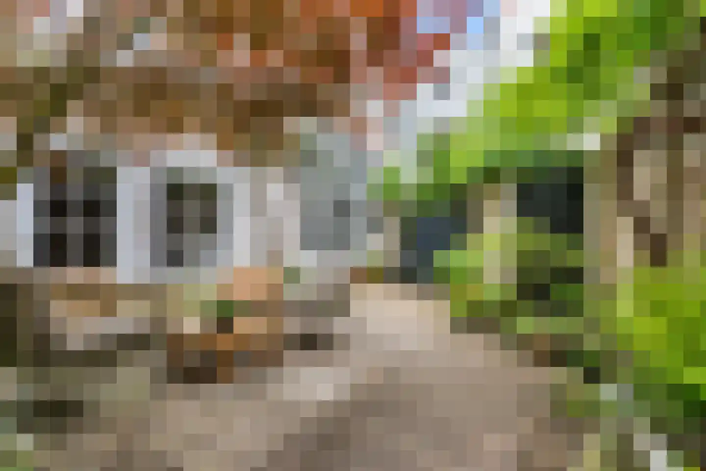 Bakenessergracht 33 Haarlem thumbnail 36