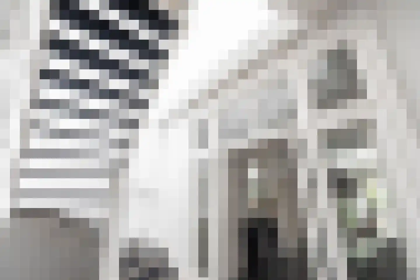 Bakenessergracht 35 Haarlem thumbnail 12