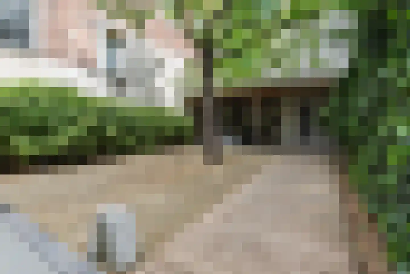 Bakenessergracht 35 Haarlem thumbnail 19