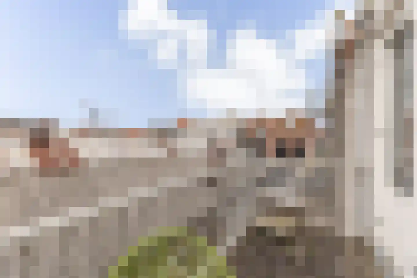 Bakenesserstraat 15 D Haarlem thumbnail 22