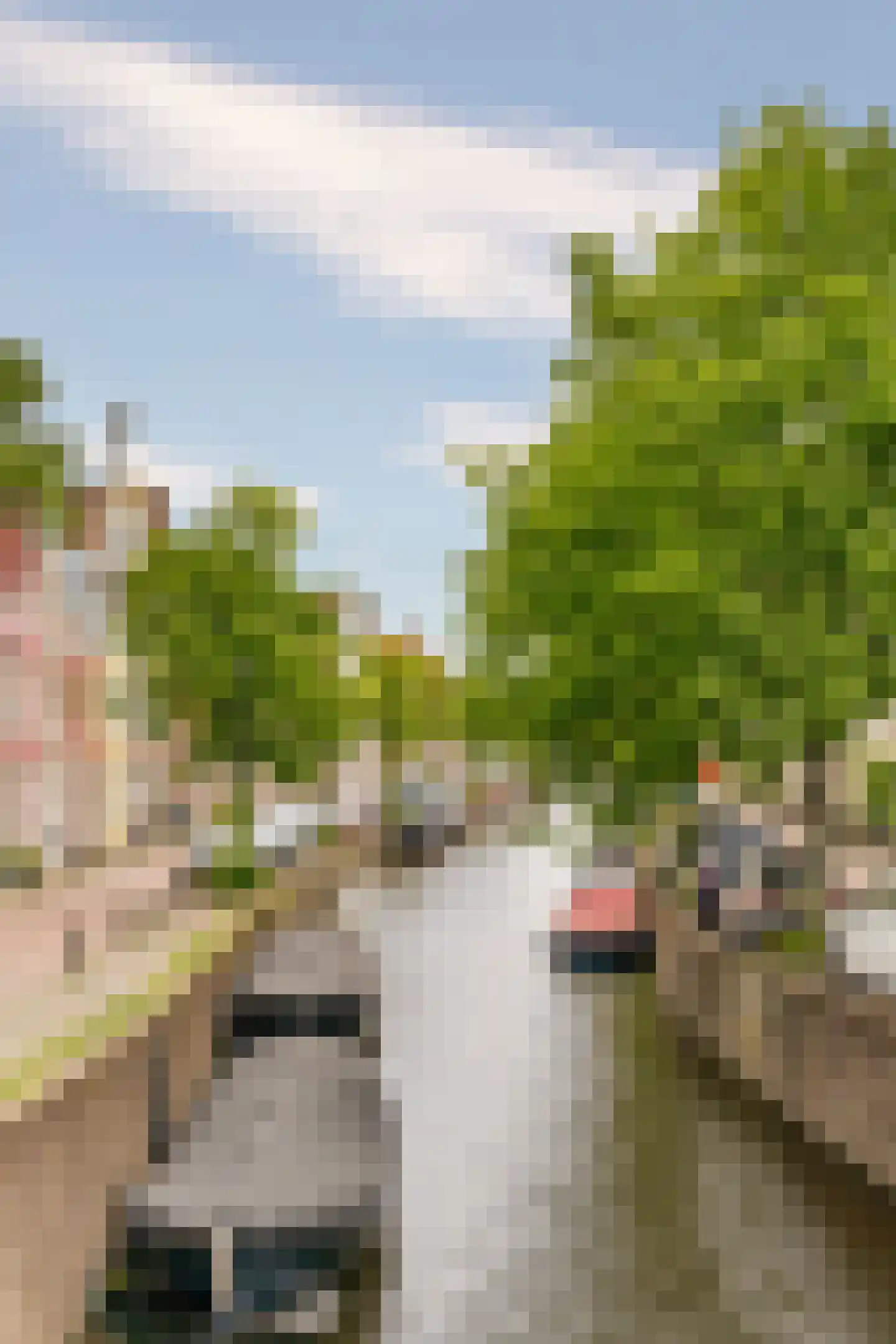 Bakenesserstraat 27 A Haarlem thumbnail 21