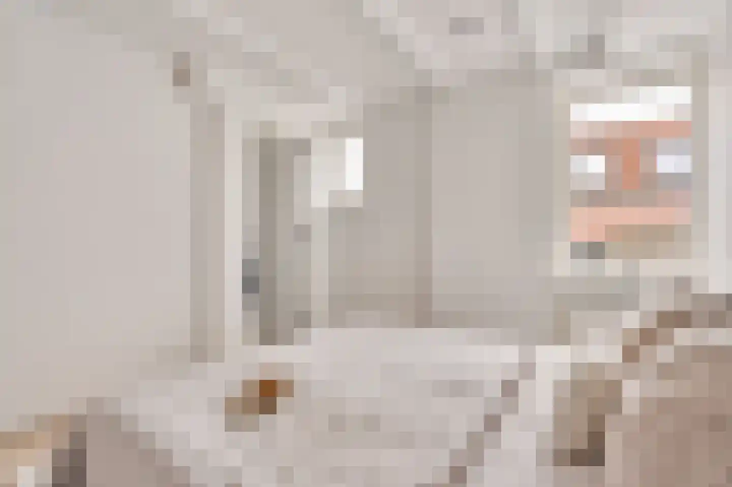 Bakenesserstraat 27 E Haarlem thumbnail 20